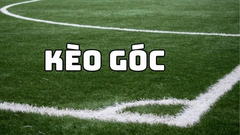Cá Độ Bóng Đá Với Đội Hình 3-5-2: Dễ Như Học Bảng Cửu Chương